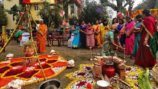 the traditional of pongal